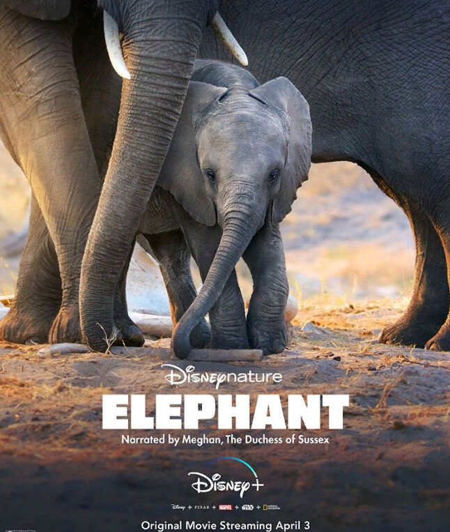 Скриншот кадра для иллюстрации