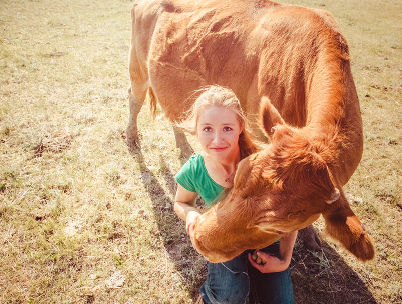 Молоко - уникальная природная субстанция, в которой в сбалансированном виде находятся питательные вещества, предназначенные только для краткого периода вскармливания младенца. В природе нет ни одного биологического вида, который настолько бы сбил свои природные циклы, чтобы продолжал питаться молоком  во взрослом возрасте! 
Молоко разных биологических видов отличается процентом жирности и разным липидным составом, что связано с физиологией и образом жизни вида. Например, у тюленей жирность молока - 50%, это помогает защите неподвижных детенышей от холода.Детенышей других животных жирность молока  защищает на длительный период отсутствия родителей, занятых  ,например ,поисками пищи. При попадании в организм человека жиры чужеродного молока утилизируются, откладываясь на стенках сосудов (холестериновые бляшки), поэтому употребляющие жирные молочные продукты люди немногим меньше мясоедов входят  в группу риска по сердечно-сосудистым показателям. 
При современном производстве используются аппараты машинного доения, сильно травмирующие сосок коровы (а это одно из самых чувствительных мест в организме самки любого биологического вида), это превращает процесс доения в постоянную пытку , вызывает непрекращающиеся маститы. 

Поскольку количество людей на планете, желающих пить молоко коров, пока ,к сожалению ,  велико, телят сразу отнимают от мам и переводят на суррогатную жидкость, заменяющую молоко. Для повышения надоев коровам в пищу добавляют продукты, провоцирующие их жажду (на российских фермах используют даже соленую рыбу). Телята и их мамы тяжело переносят разлуку друг с другом. Молочные коровы при современном животноводстве лишены возможности моциона, эксплуатируются жестоко, постоянно находясь в стойлах. 

Гуна благости часто называется  в ведической литературе в сочетании с молочными продуктами.Но сейчас другое время. Многое из того, что было актуально много лет назад, не  является таким сейчас. .В современном мире у коров  не спрашивают, хотят ли они расставаться с детьми и давать молоко. 
Гуна благости должна быть, прежде всего, представлена людьми милосердными и честными.  За молоком  стоят страдания живых существ. Любовь к матери-корове состоит не в том, чтобы питаться ее молоком, отнятым у самого дорогого для нее существа - ее ребенка. Зрелая любовь к живому существу- это альтруизм и понимание нужд другого. Тем более, что тысячи людей на планете уже пошли по пути сопереживания коровам и прекращению питания за счет их жизни. 
В естественных условиях коровы могут прожить до 20 лет. Но коров, используемых для молочного производства, убивают в возрасте до 4 лет на мясо. Это означает - четыре года беспрестанного искусственного осеменения, инфекций вымени, психологические травмы от жестокого отъёма новорождённых детей.
СУЩЕСТВУЕТ ТОЛЬКО ОДНА ГУМАННАЯ АЛЬТЕРНАТИВА - БЫТЬ ВЕГАНОМ! 
Вега́нское молоко становится все более популярным в Великобритании. Исследования показывают, что четверть британцев сейчас пьют вега́нское молоко.  Растительное молоко на основе овса, миндаля, кешью, кокоса и сои очень  востребовано. 
Молодые люди больше всего склонны к альтернативному молоку; треть (33%) детей в возрасте от 16 до 24 лет предпочитают вега́нское молоко. 16 миллионов британцев выбирают вега́нское молоко вместо коровьего.
Этика, окружающая среда ,здоровье  убеждают людей отказаться от молока. 
Многие  согласны с тем, что молочная промышленность оказывает негативное воздействие на окружающую среду. (Фильмы "Гамбургер без прикрас" ,"Скотозаговор")
Vita.org.ru     http://www.vita.org.ru/veg/veganstvo/moloko.htm


