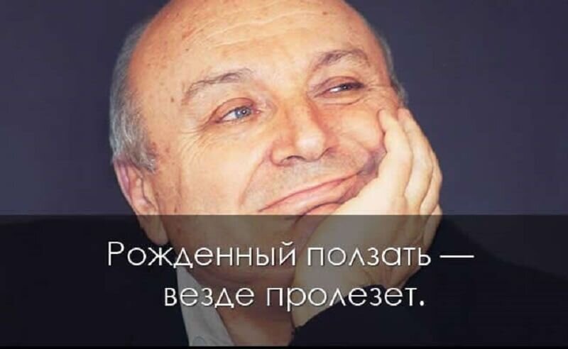 Цитата Михаила Жванецкого
