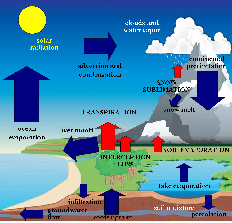 Chart water. Global Water Cycle. Evaporation process. Evaporation diagram. Evaporation and Soil salinity.