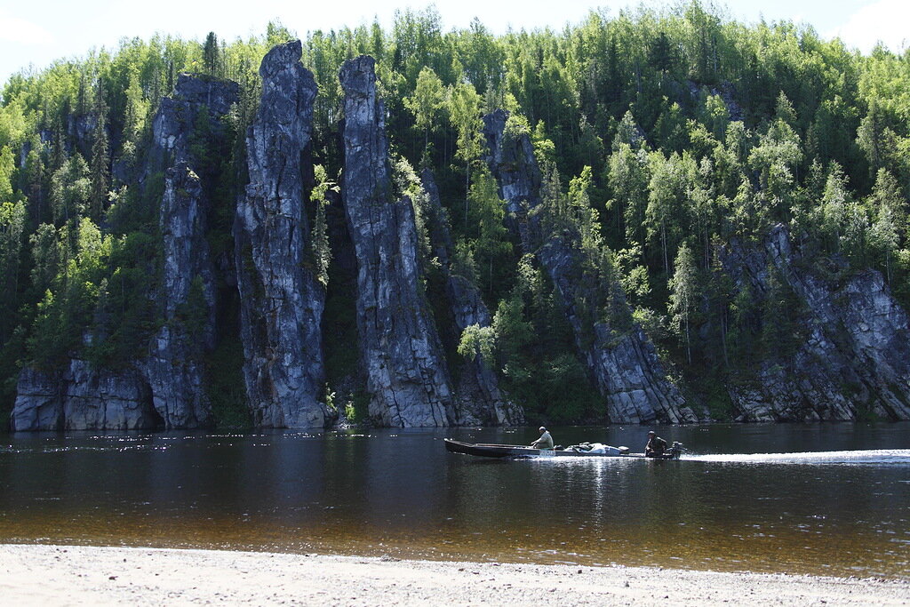 Тайга коми фото