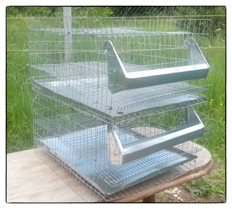 Такие клетки для перепелов мы изготавливаем сами