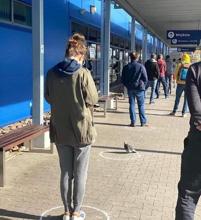 Источник: boredpanda