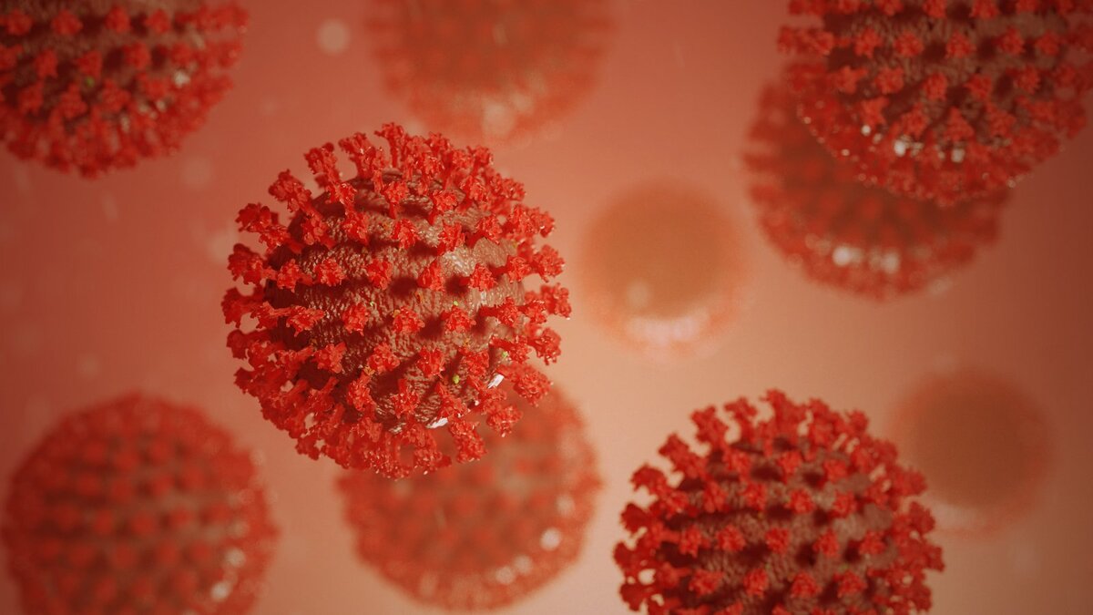 https://ru.freeimages.com/photo/covid-19-coronavirus-visualisation-1641138