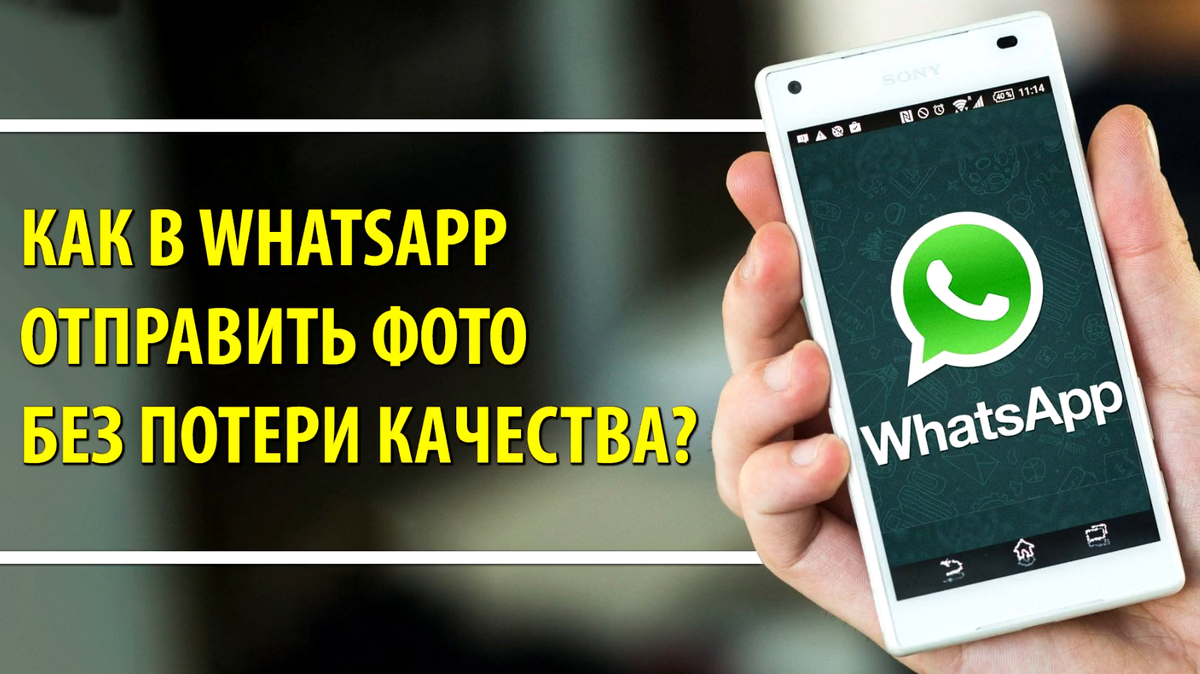 Как в WhatsApp отправить фотографию без потери качества? | ITшник | Дзен