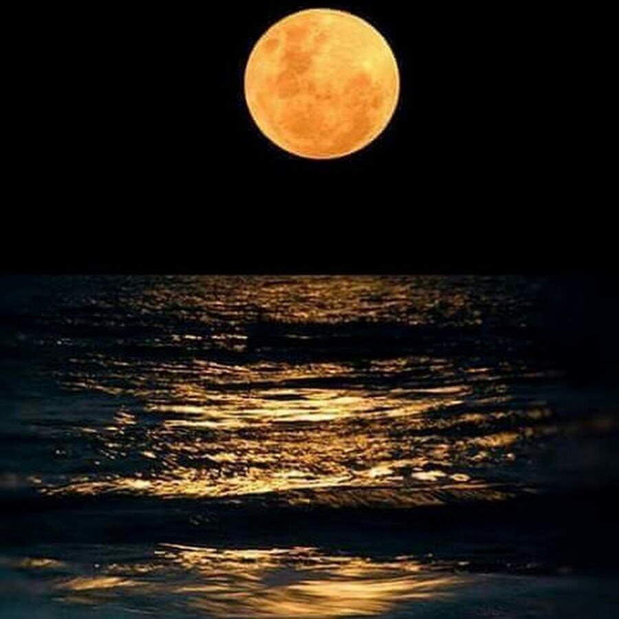 Золотою луна распласталась на тихой воде. Луна. Желтая Луна. Ночь Луна море. Луна над морем.