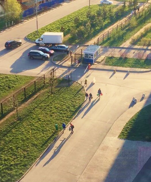 Фото знакомых автора.