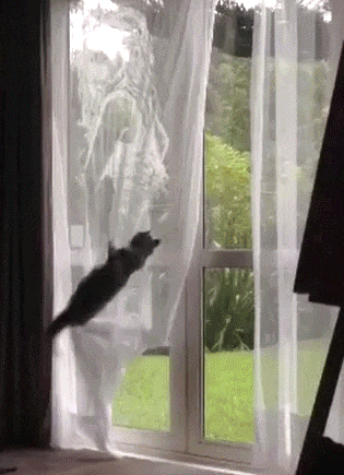 Фитнес-тренер показывает одно из полезнейших упражнений для растягивания позвоночника и развития в лапках силы. 