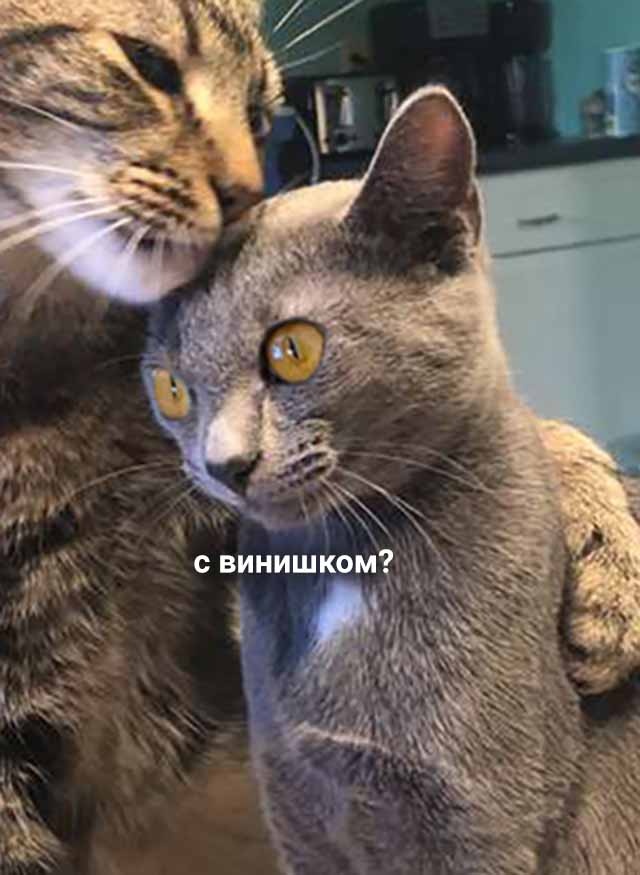 фото использовано в качестве иллюстрации. Источник "Яндекс.Картинки"