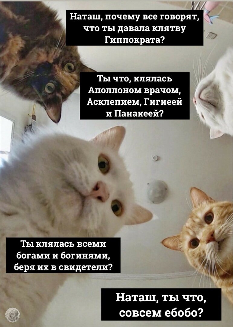 обожаю "сомнительные поводы для гордости медика