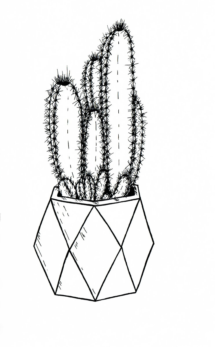 Скетч-иллюстрация № 1