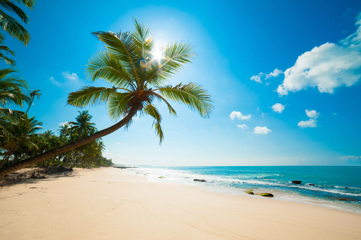 Морская вода, солнечные лучи и тёплый песочек - это безопасно в условиях пандемии