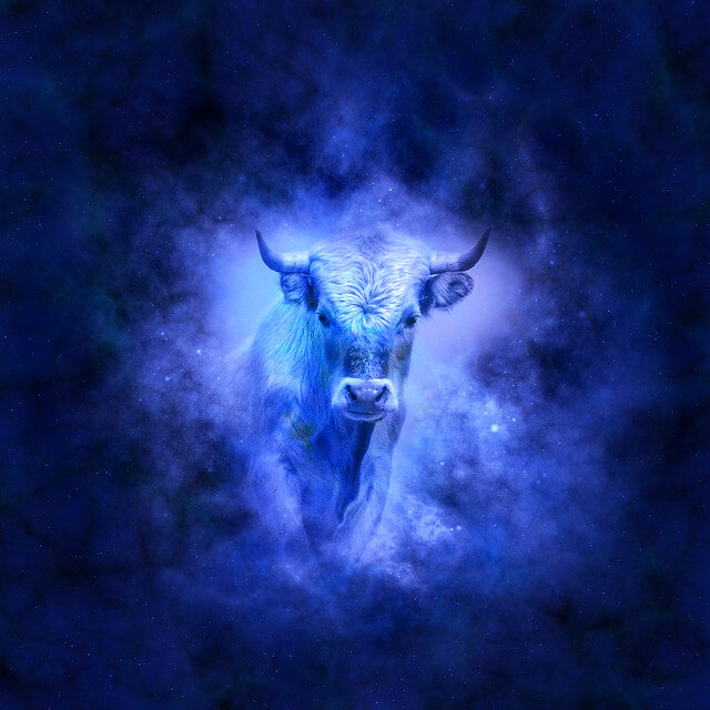 изображения взято с сайта Pbxabay.com