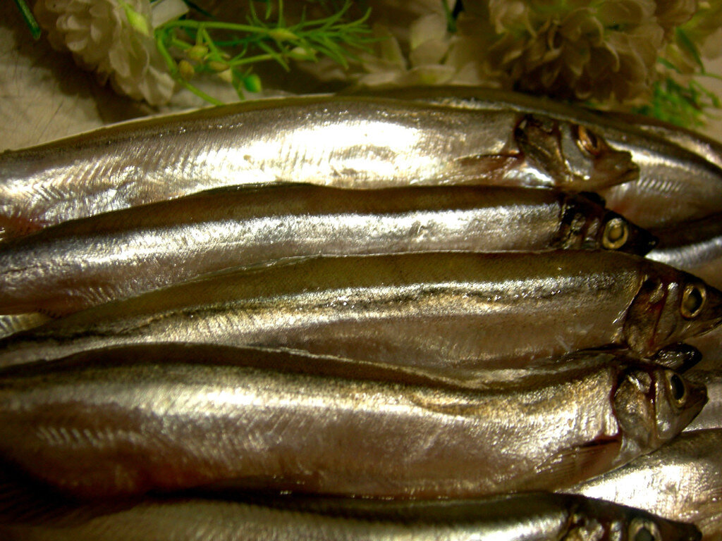 Мойва пряного посола.