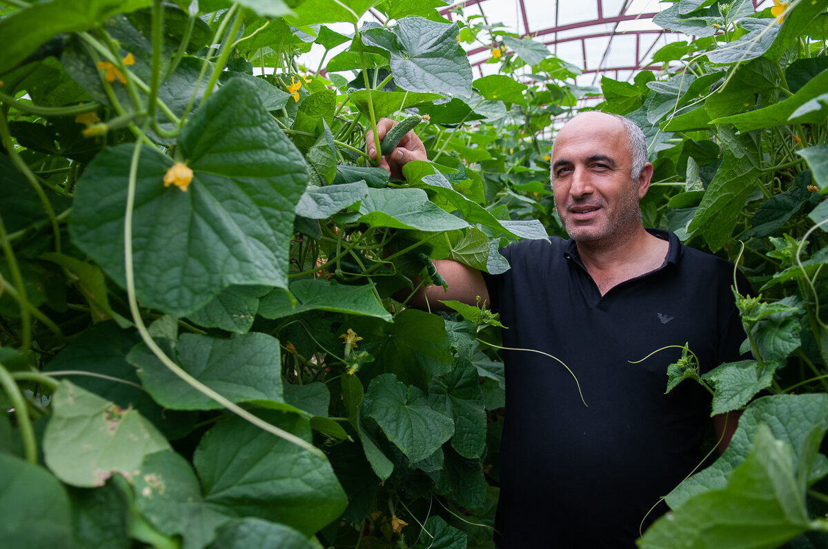 Фермер Азиз Мгоян