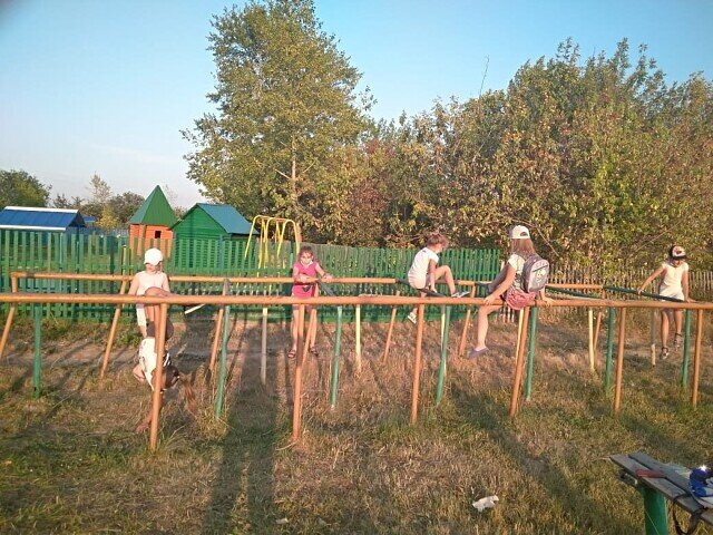 Лето любят все. Лето-это роскошь и аромат прекрасных цветов, созревание растений, теплые вечера, прогулки по лесу, парку.   