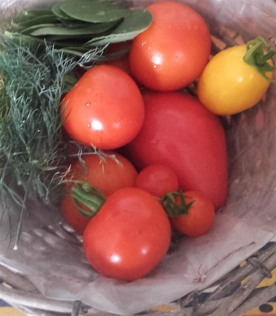 Фото автора. помидоры  и зелень с домашней грядки.