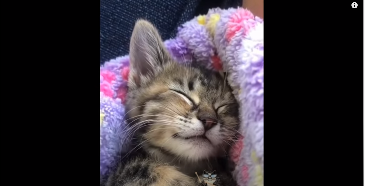 Малыш спит! 