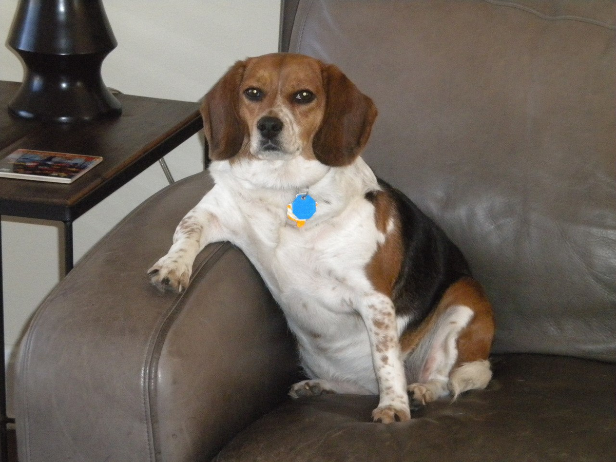 Вот, что значит харизма