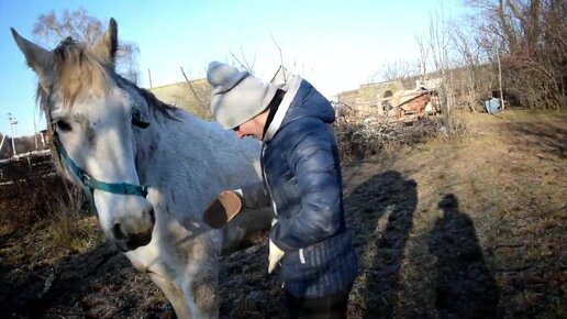 Усадьба белая лошадь ютуб последнее видео