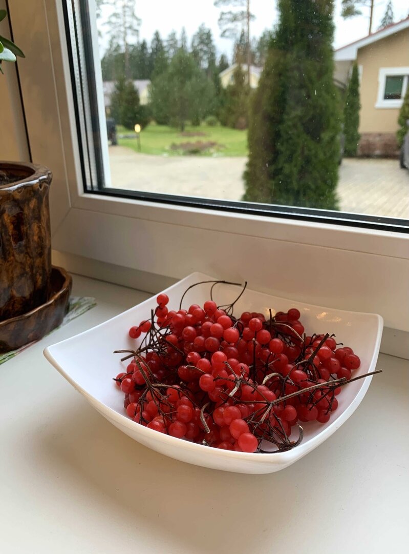 Сегодня собрала последние ягоды