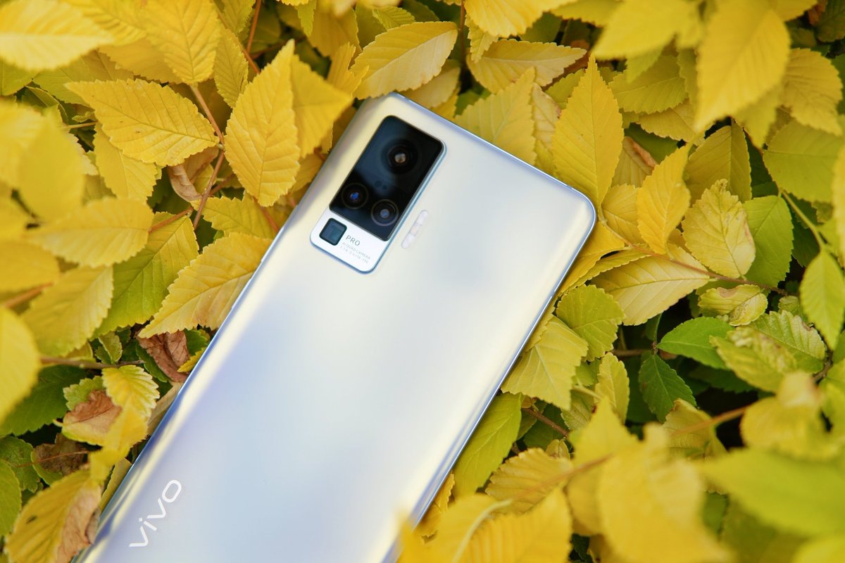 Открытый источник Яндекс - Vivo X50