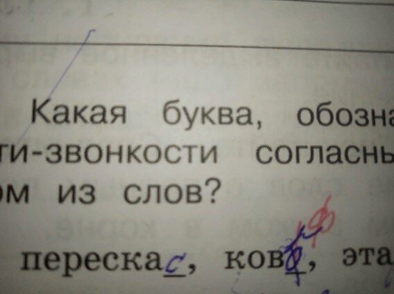 Когда учитель и ученик нашли друг друга...