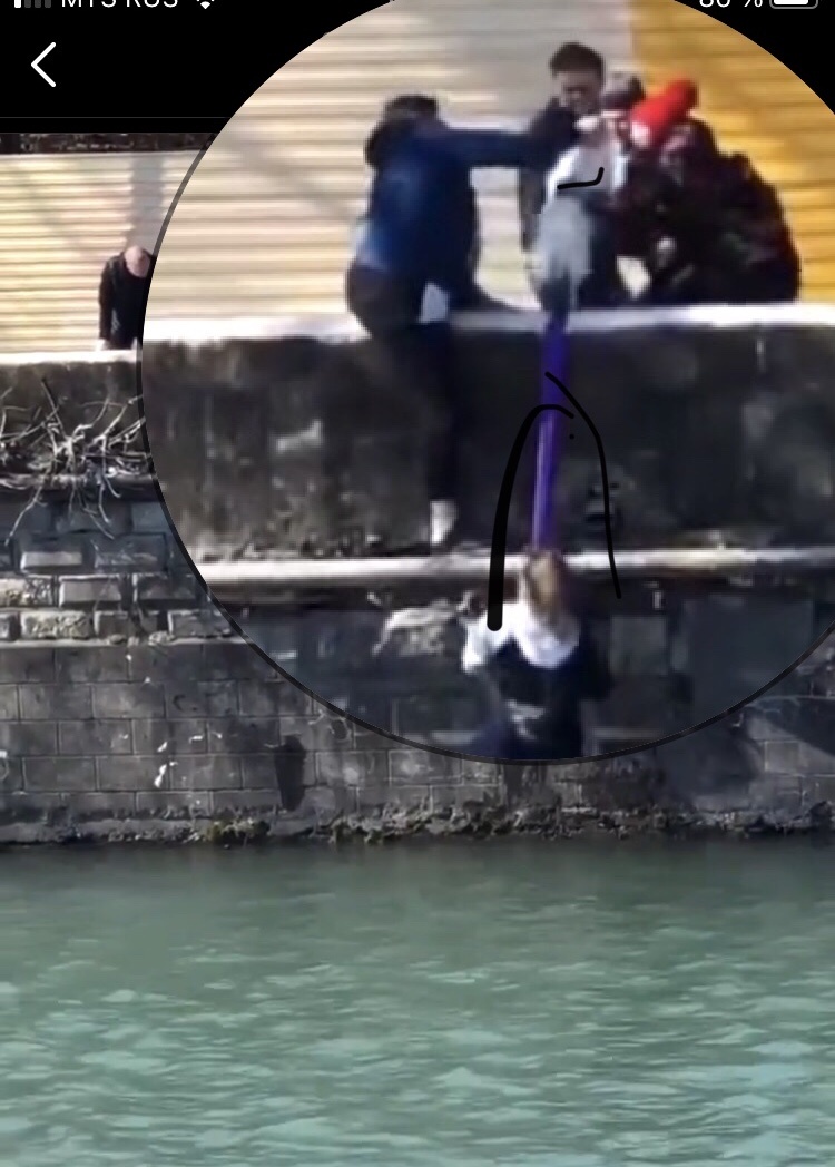 Фото:скрин момент Спасения собаки