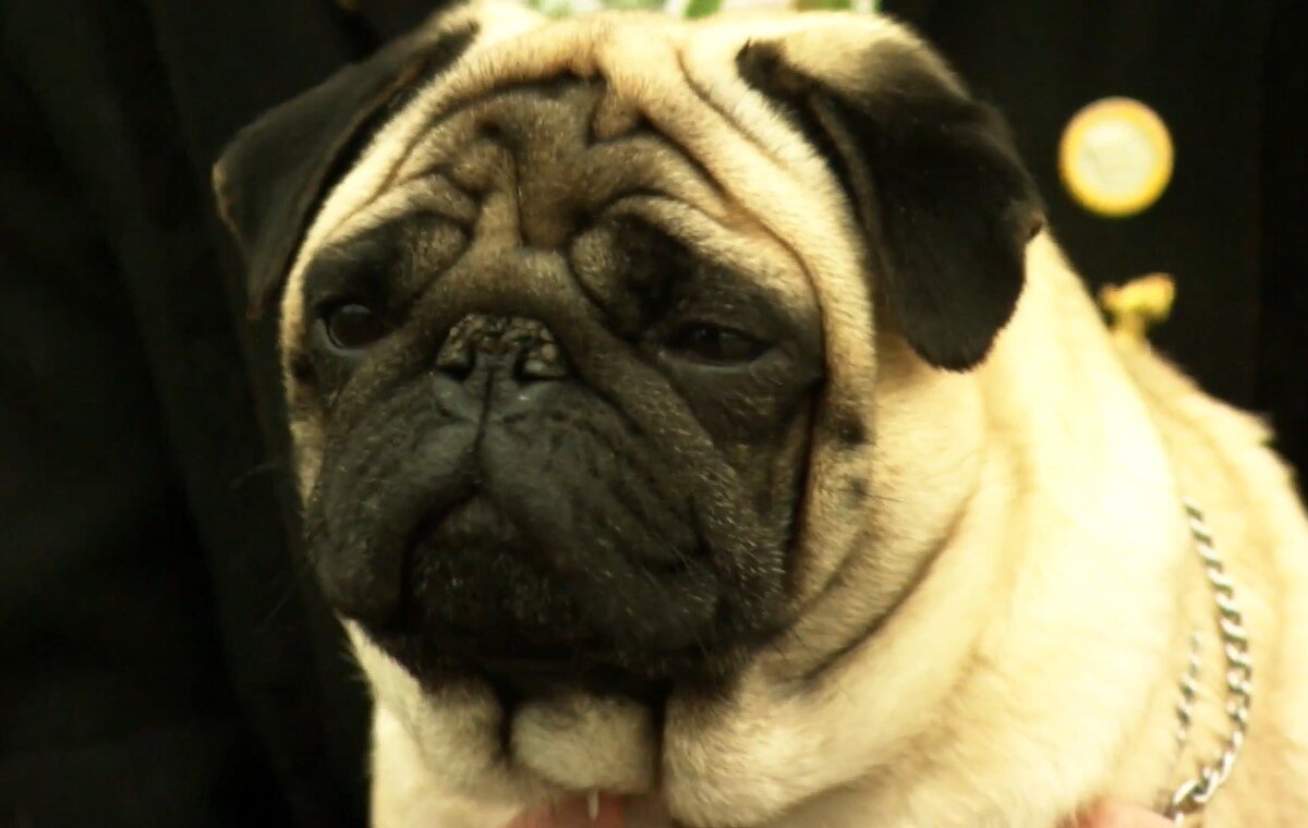 Изображение из открытых источников