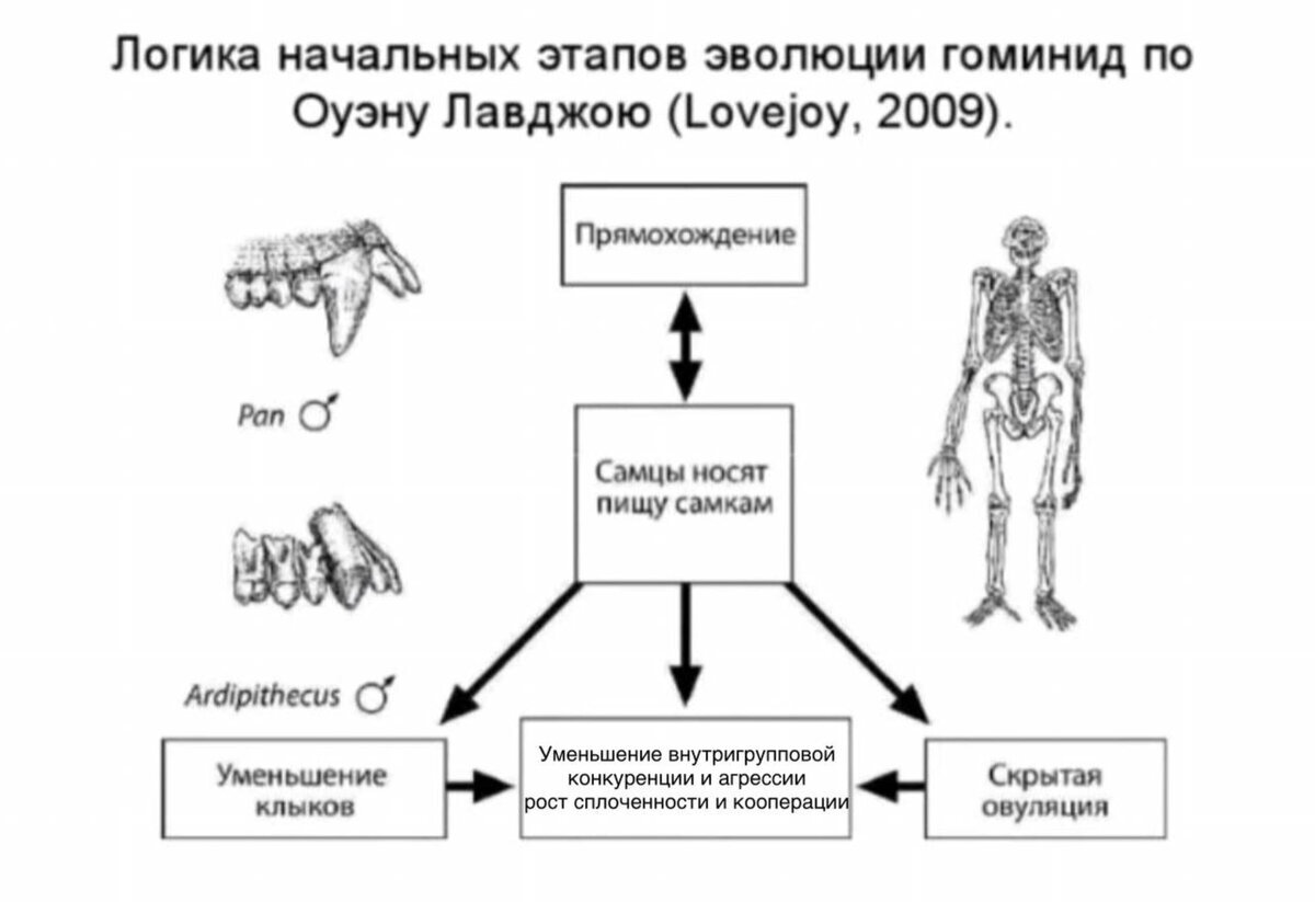 Путь сапиенса