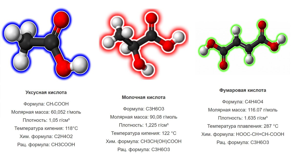 Структура деления