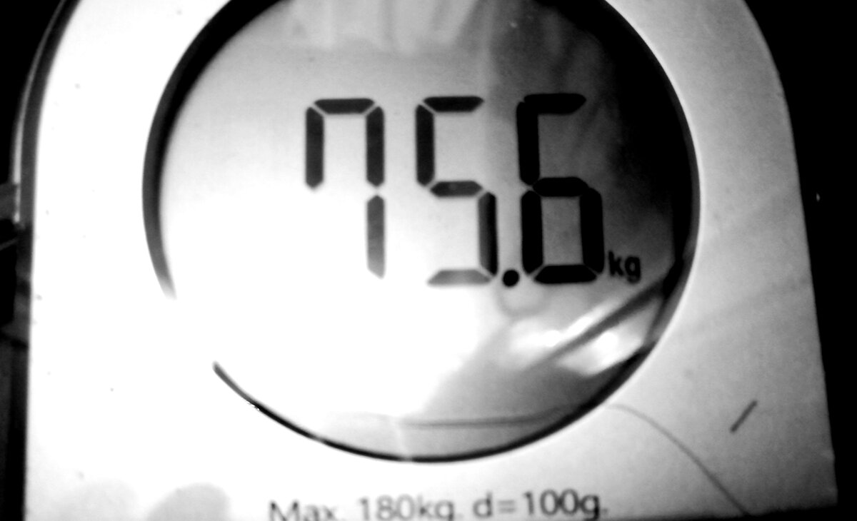 Фото автора.