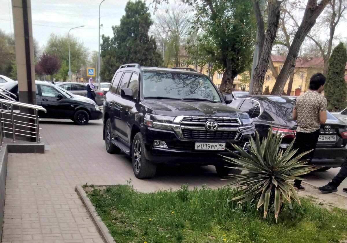 Фото сделано для обложки статьи