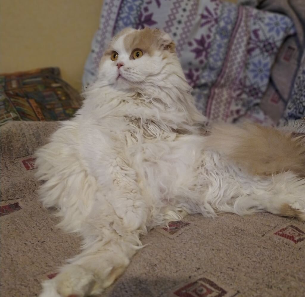 Это Ваня в своей излюбленной позе)