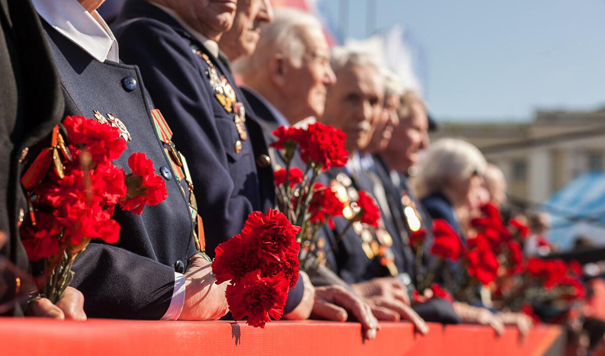 Ветераны с гвоздиками картинки