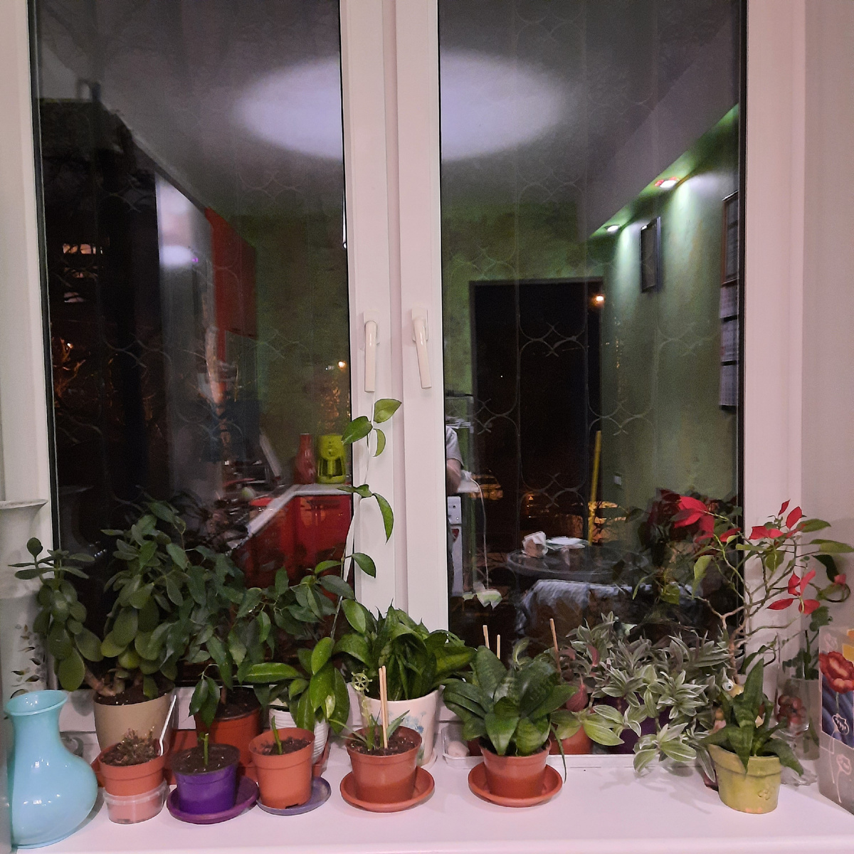 Мой скромный зелёный уголок