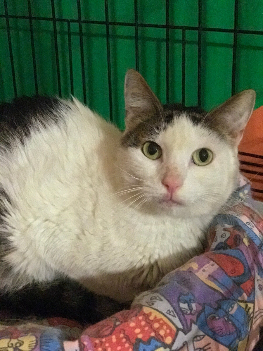 Лакки вчера)))