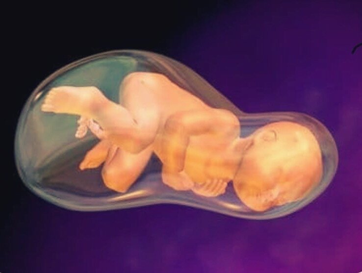 Ребенок в околоплодных водах