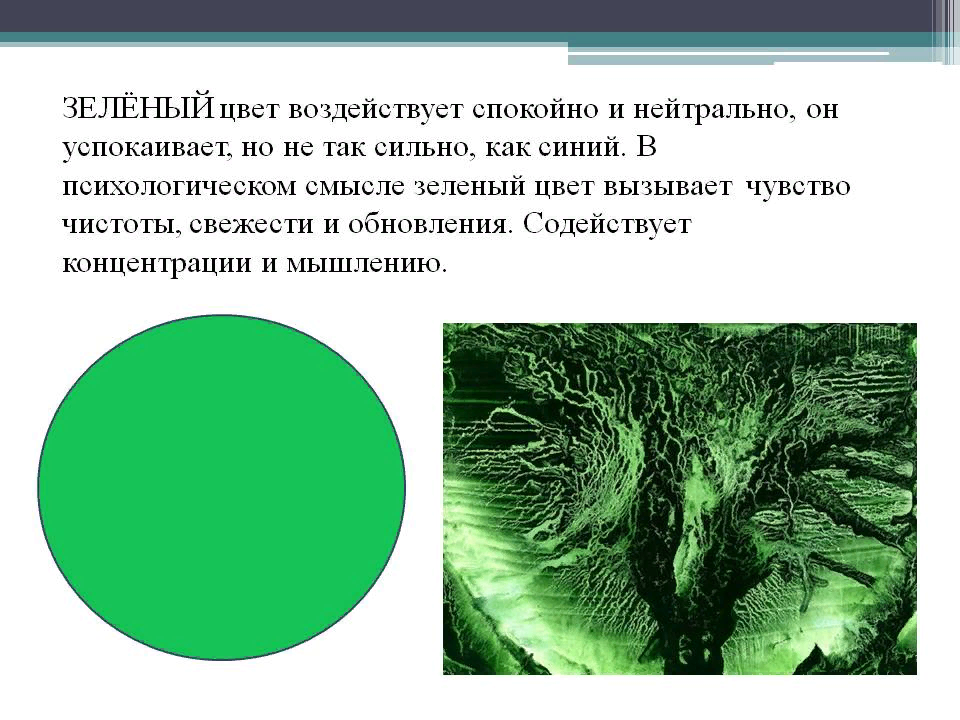 Значение зеленого цвета. Характеристика зеленого цвета. Зеленый цвет в психологии. Что символизирует зеленый цвет. Салатовый цвет в психологии.