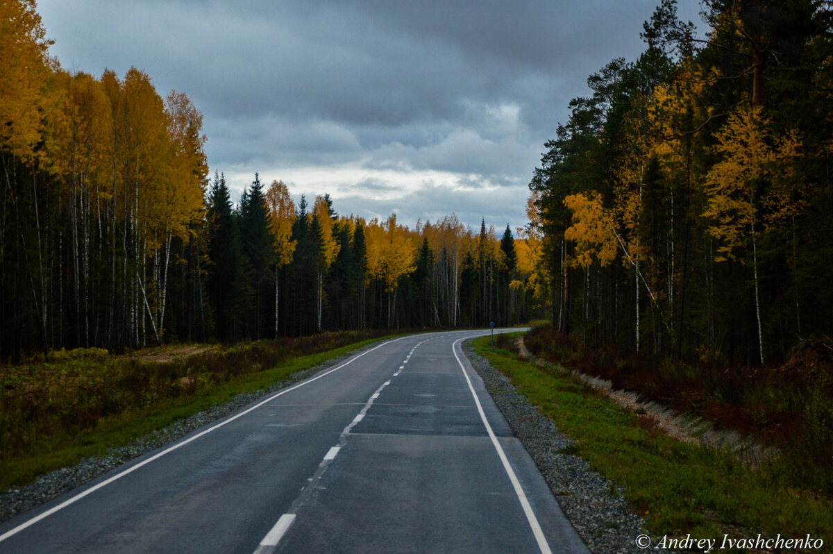 Дорога Глазов-Киров. Автостопом от Пудема до Кирово-Чепецка. | Прохожий с  фотоаппаратом | Дзен