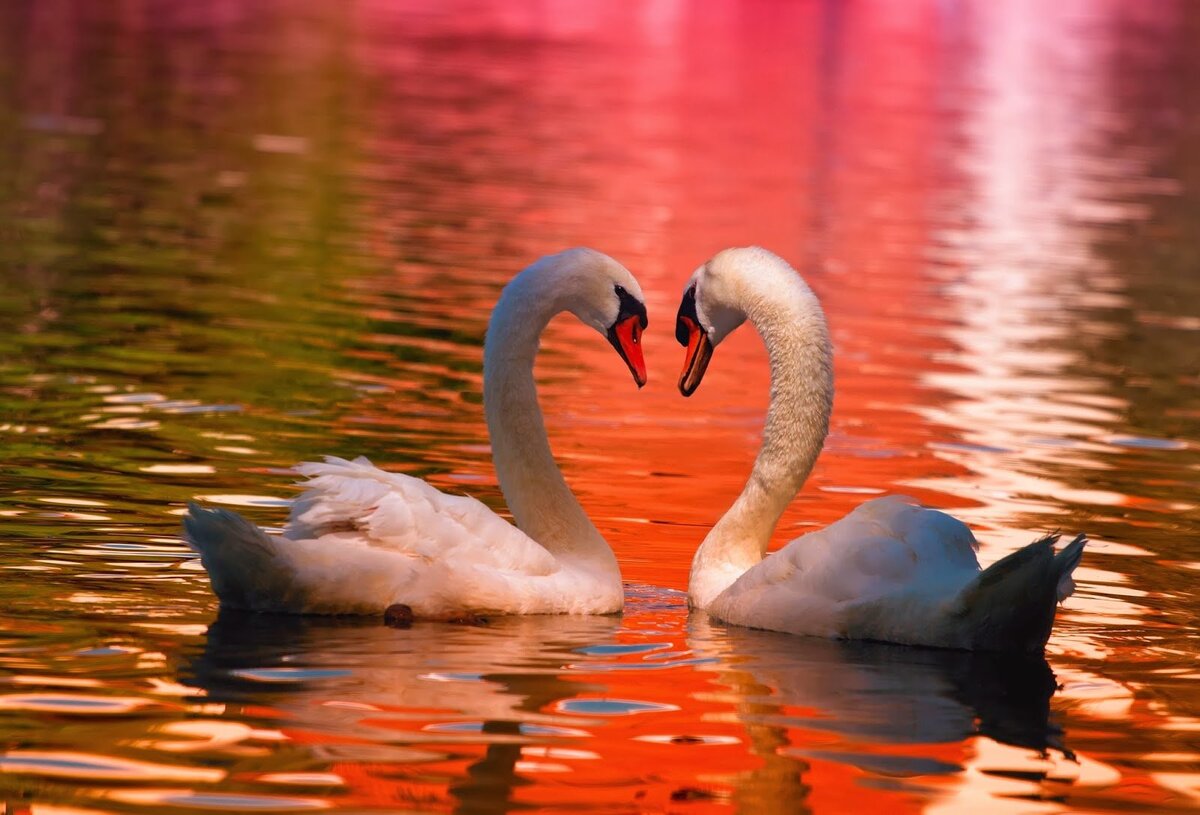 Изображение взято из открытых источников