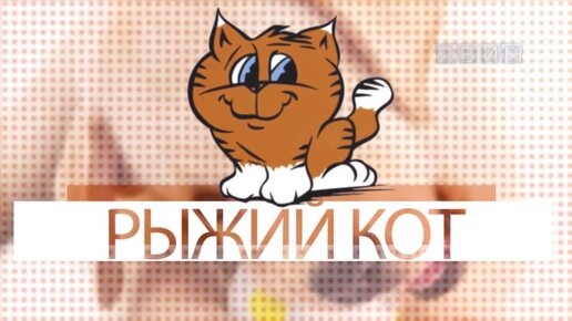 Программа рыжий кот. Приложение с рыжим котом. Игры с рыжим котом приложение. Телеканал рыжий программа.