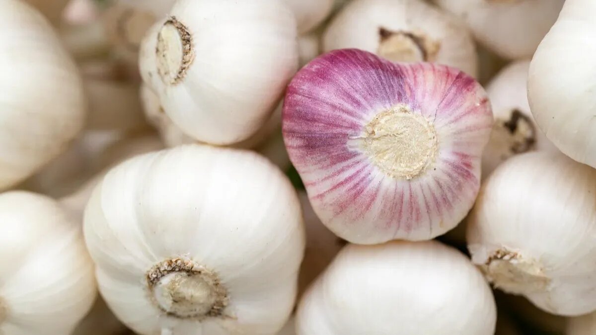 Чеснок давно стал народным средством от многих болезней. Фото: Pxfuel.com