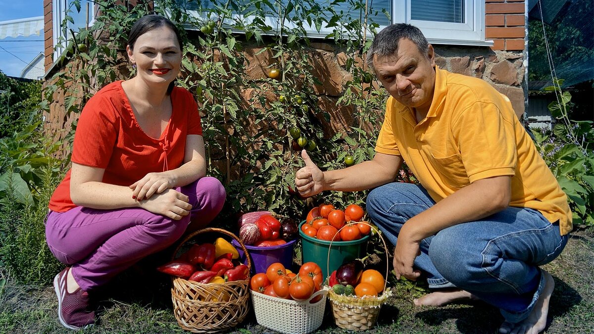 Какие удобрения лучше - знает Дачный агроном!