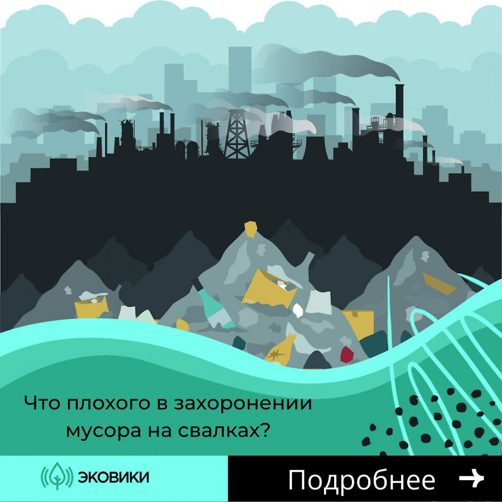 Фото: предоставлено Движением ЭКА