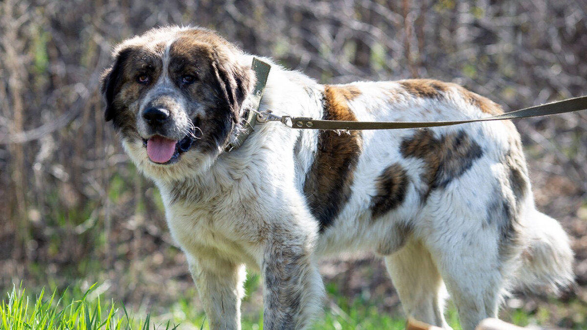 источник фото: krasivosti.pro