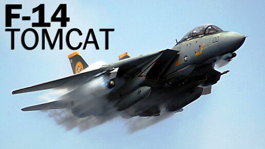 F-14 Tomcat - Top Gun для моряков