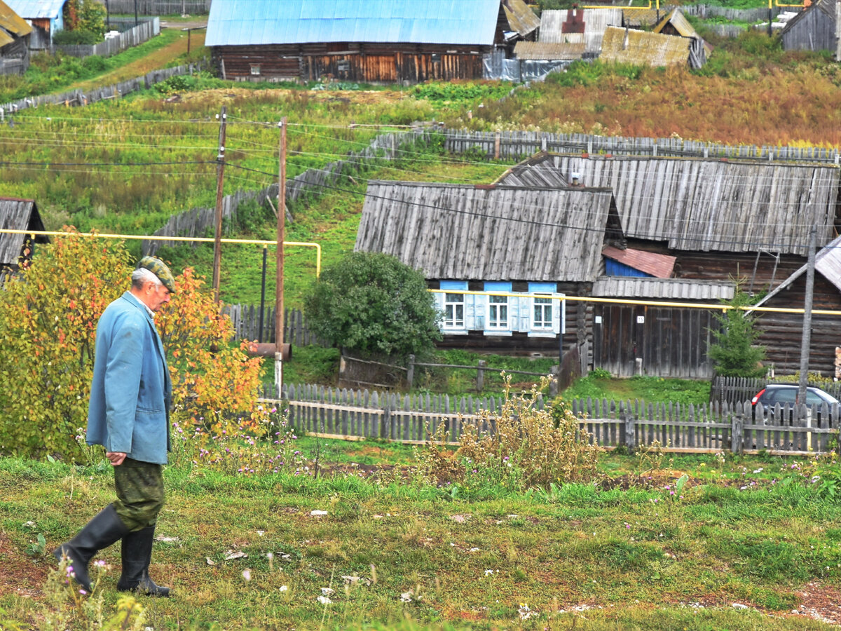 Почему деревенских пастухов не кусают комары и мухи: стоят посреди тучи  комарья и ни одного укуса | Стеклянная сказка | Дзен