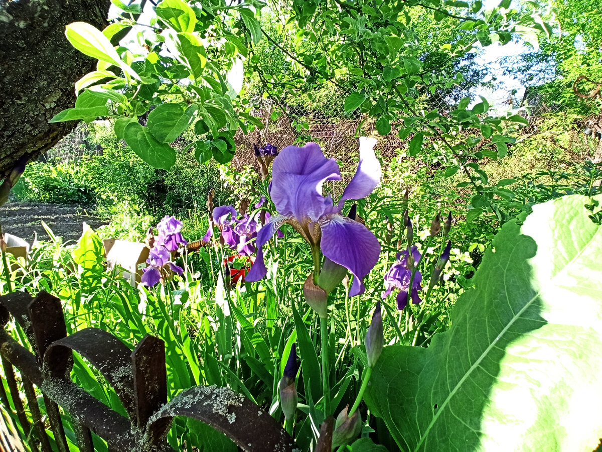 Фото автора. 