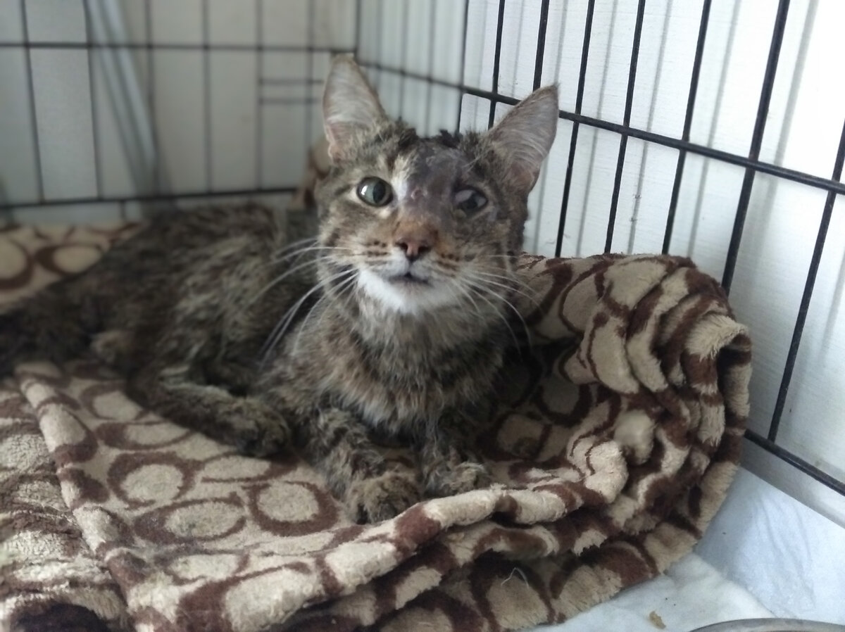 Машенька киска маленькая, соблюдаем все рекомендации доктора! 